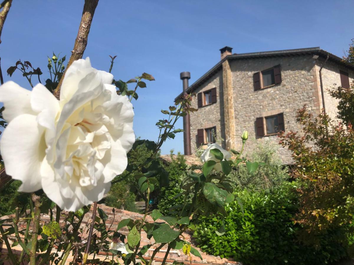 Agriturismo Beata Vanna Fabro Bagian luar foto