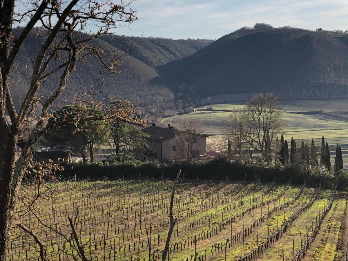 Agriturismo Beata Vanna Fabro Bagian luar foto